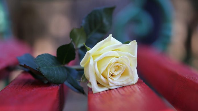 Violenza Donne