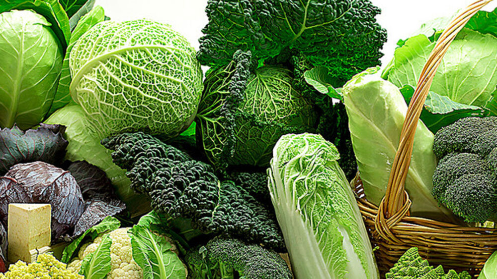 La famiglia delle Crucifere preziose verdure invernali alleati della
